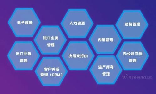 匯信軟件榮獲殊榮 入選山東省優(yōu)秀軟件企業(yè)，標(biāo)志性產(chǎn)品與服務(wù)雙豐收